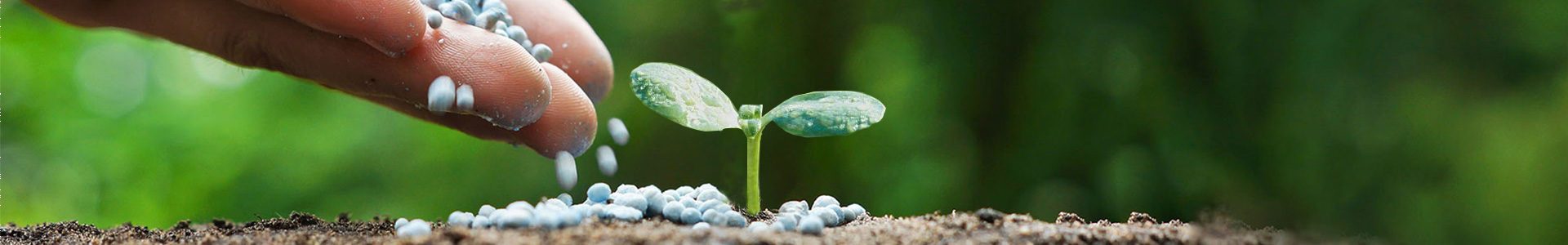 青岛海润华瑞生物科技有限公司